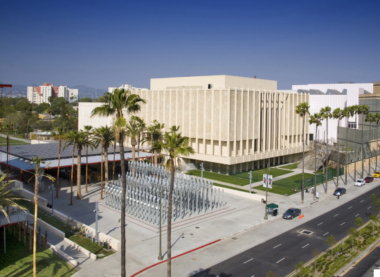 The Los Angeles County Museum of Art: Artistic Diversity